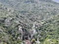 Vistas