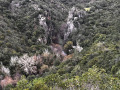 Vista Guadalete